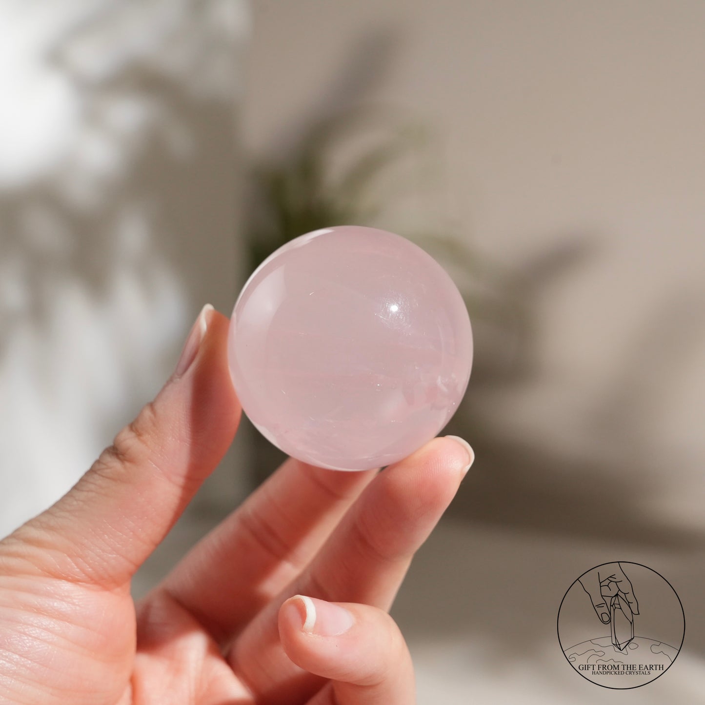 Mozambique Stary Rose Quartz Sphere