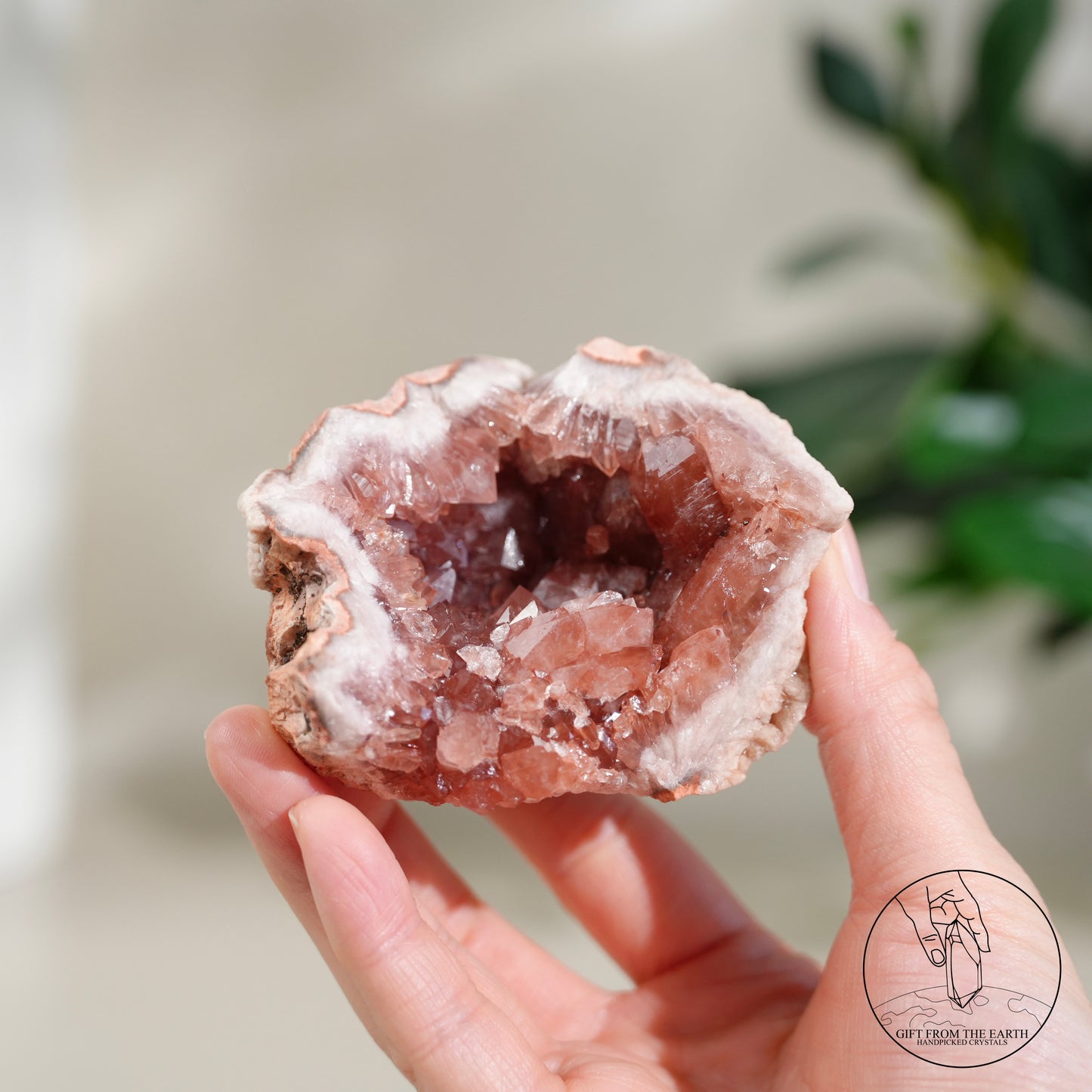 阿根廷粉紅紫水晶簇