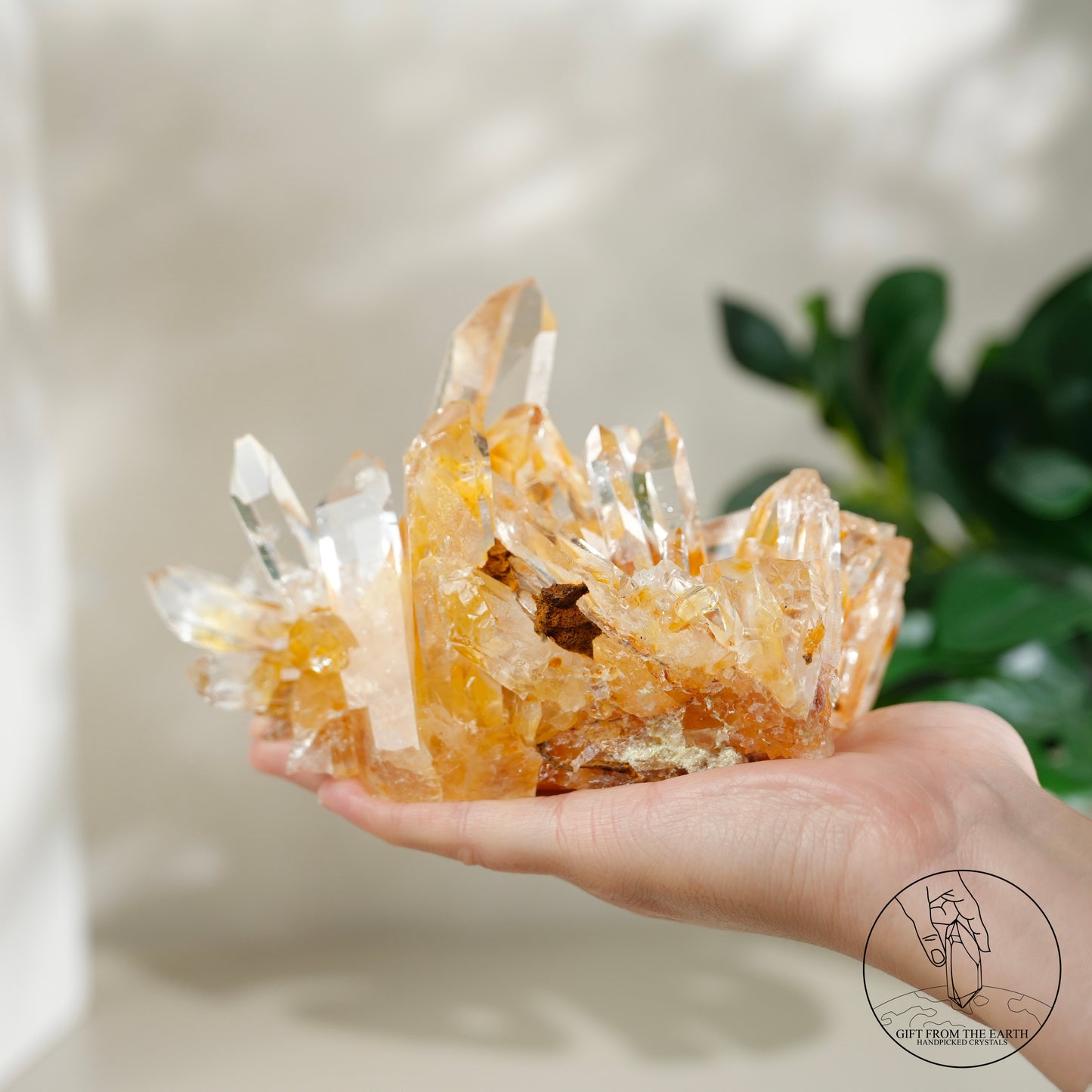 Colombian lemurian quartz