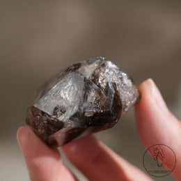南非黑骸骨水晶