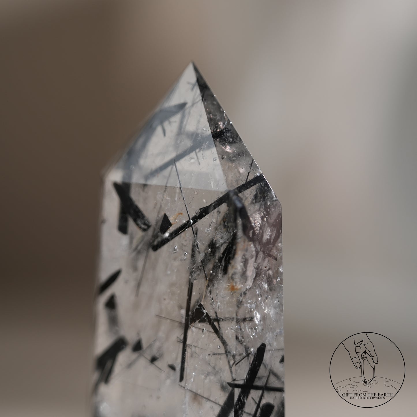 白水晶柱黑碧璽共生