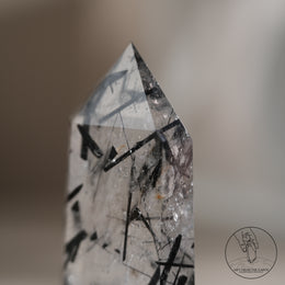 白水晶柱黑碧璽共生