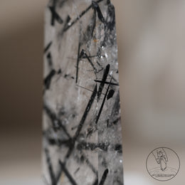 白水晶柱黑碧璽共生