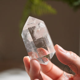 雙尖紅針晶中晶白水晶