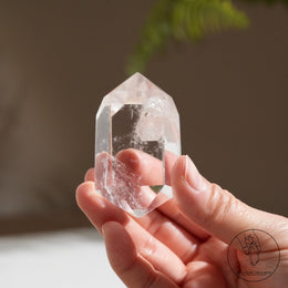 雙尖紅針晶中晶白水晶