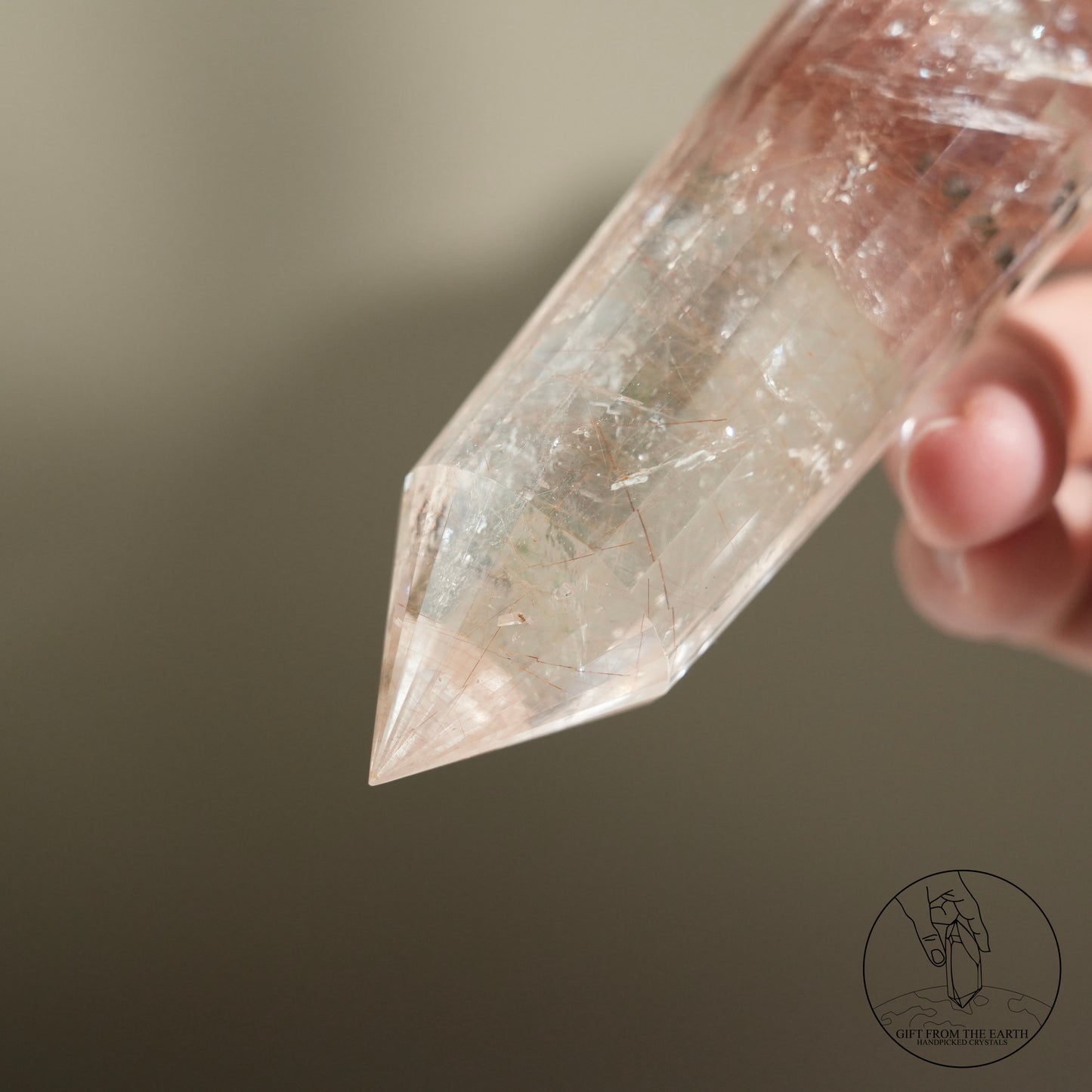 沃格爾金髮晶黑雲母共生 (24面)