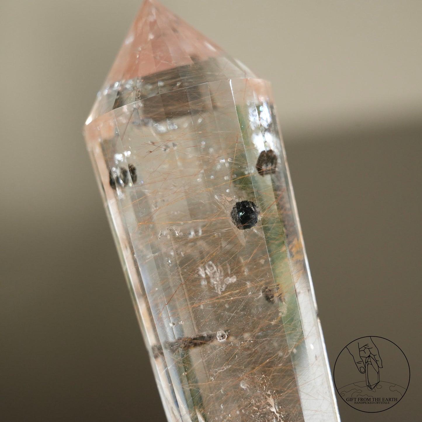 沃格爾金髮晶黑雲母共生 (24面)