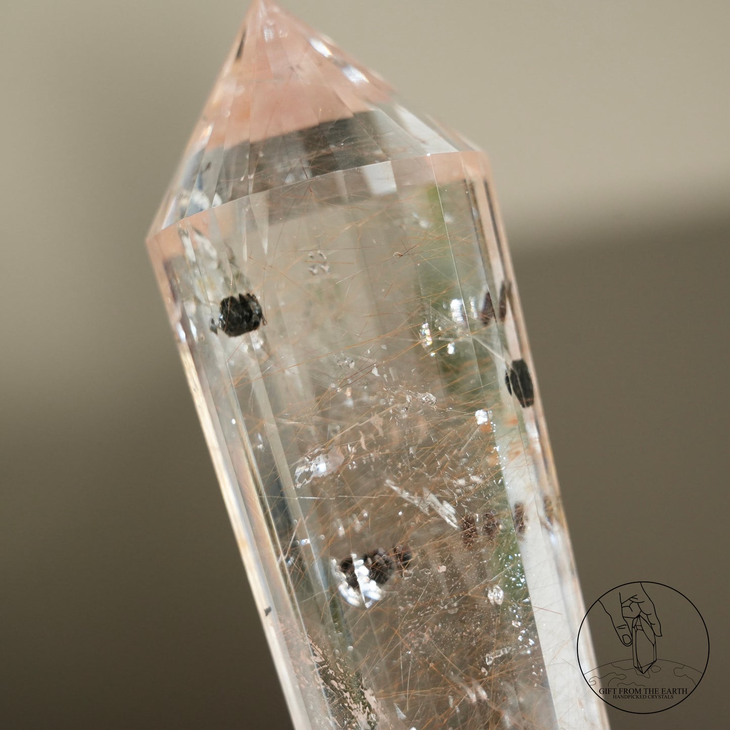 沃格爾金髮晶黑雲母共生 (24面)