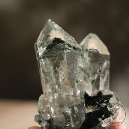 喜馬拉雅白水晶綠幽靈金髮晶共生