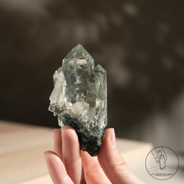 喜馬拉雅白水晶綠幽靈金髮晶共生