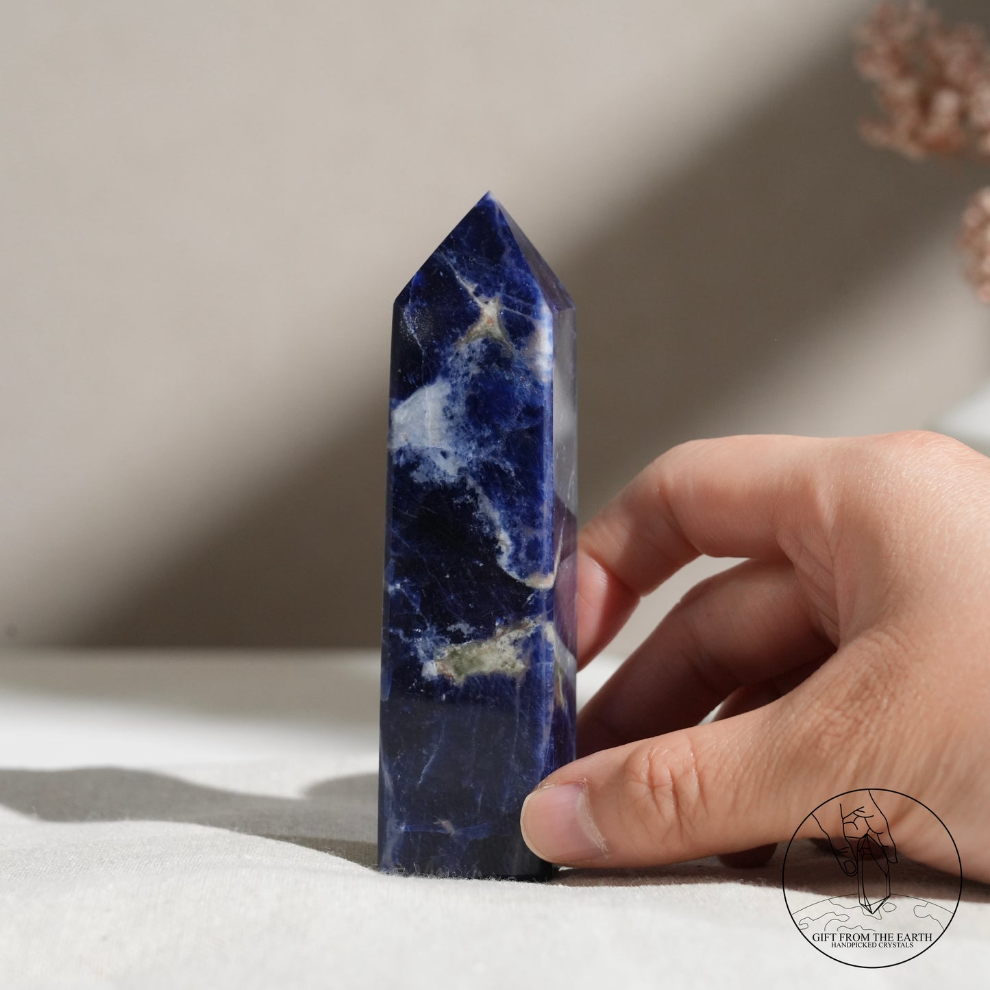 藍紋石柱長石共生