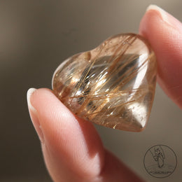 金鈦晶心