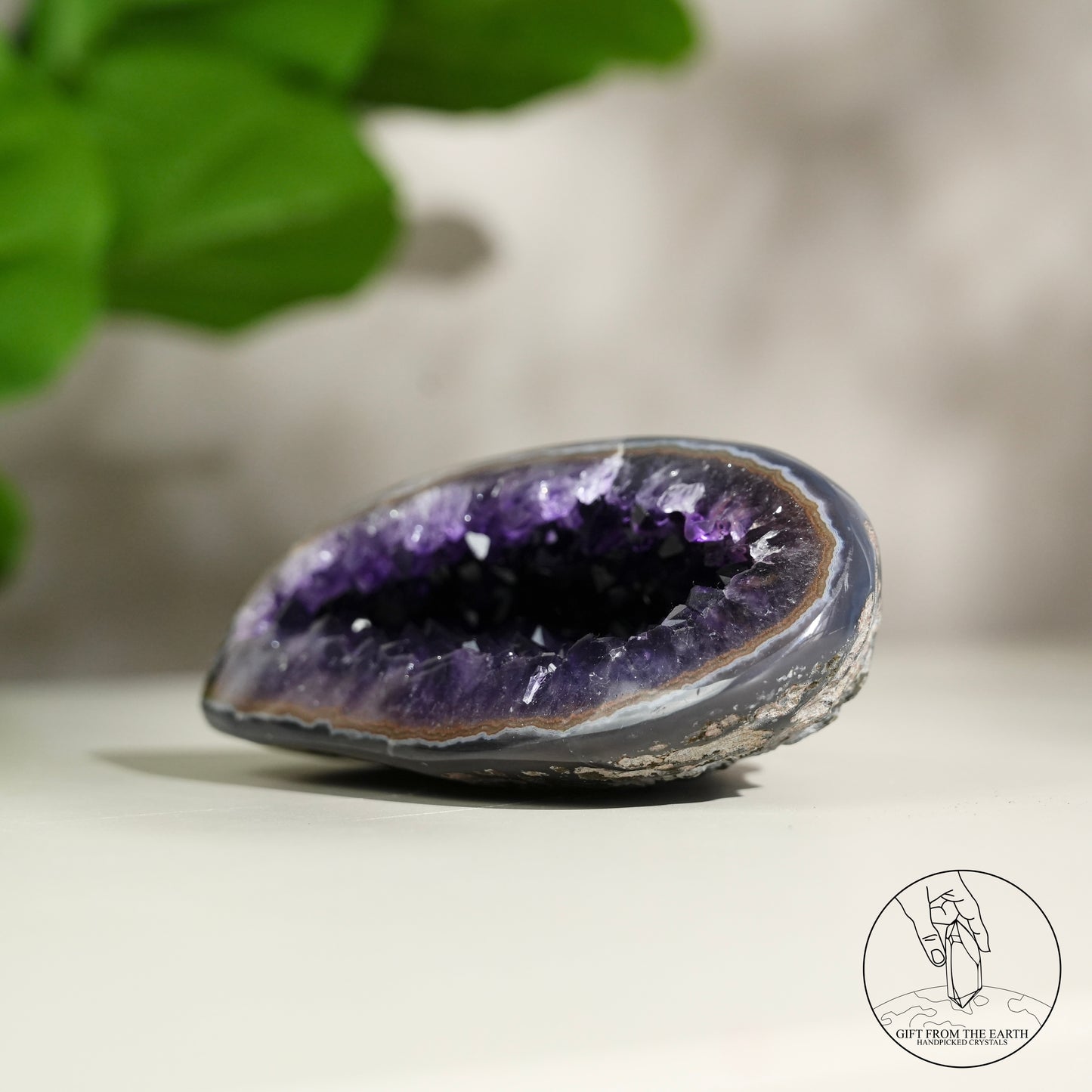 Amethyst geode