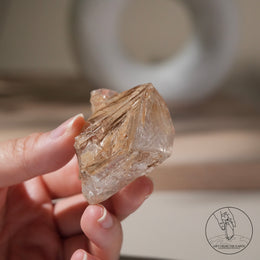 黃泥骸骨水晶