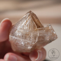 黃泥骸骨水晶