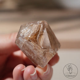 黃泥骸骨水晶