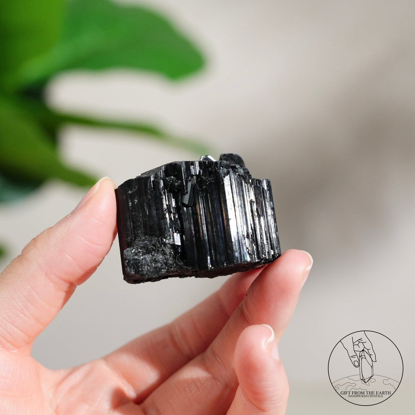 莫桑比克亮面黑碧璽原石