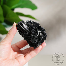 莫桑比克亮面黑碧璽原石白水晶共生
