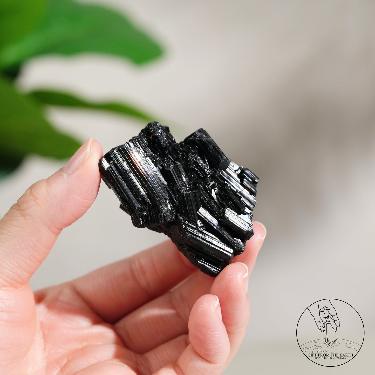 莫桑比克亮面黑碧璽原石