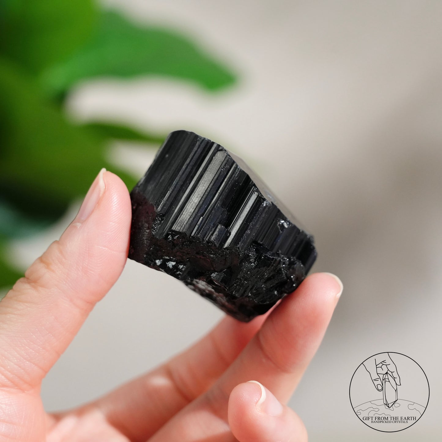 莫桑比克亮面黑碧璽原石