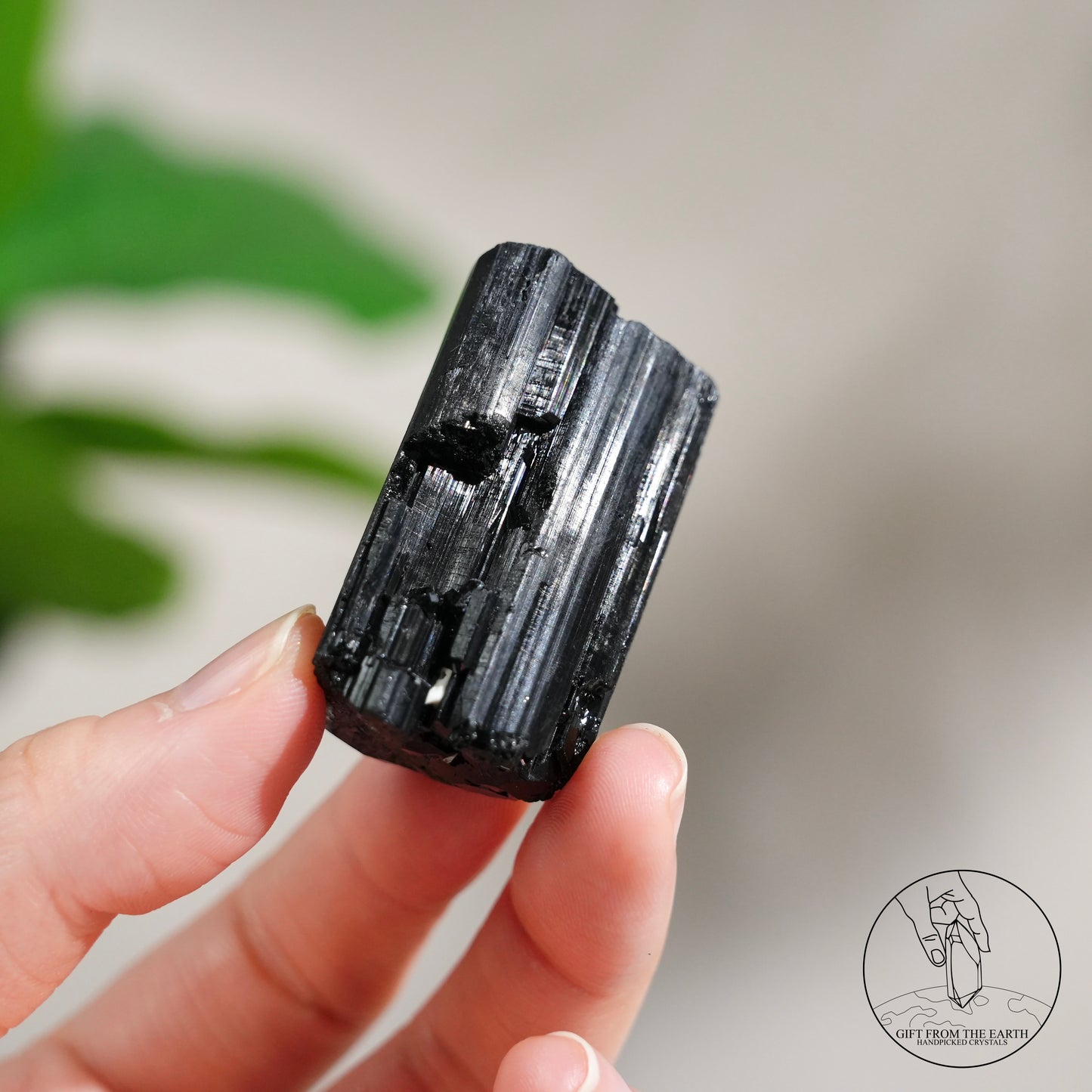 莫桑比克亮面黑碧璽原石