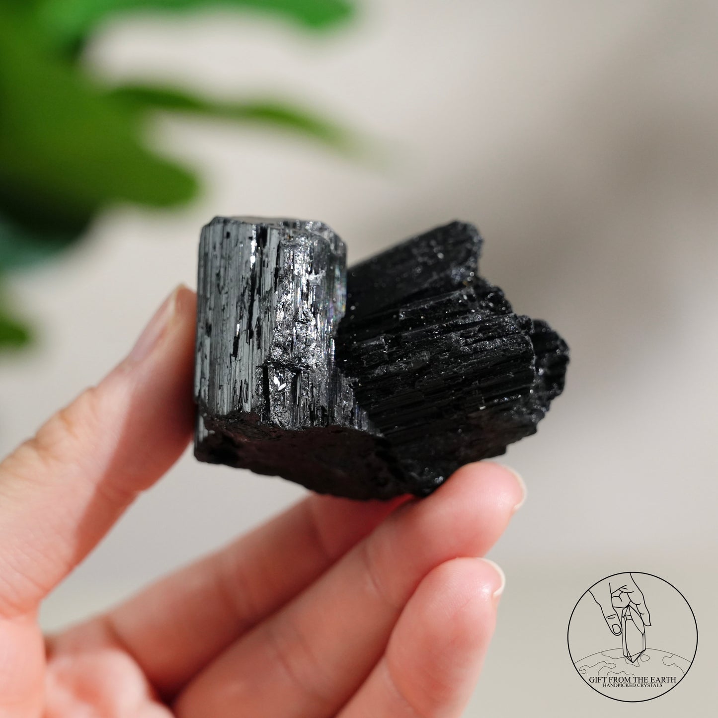 莫桑比克亮面黑碧璽原石