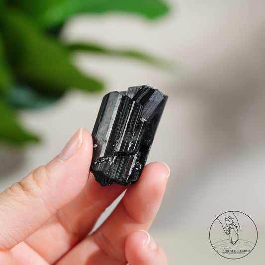 莫桑比克亮面黑碧璽原石