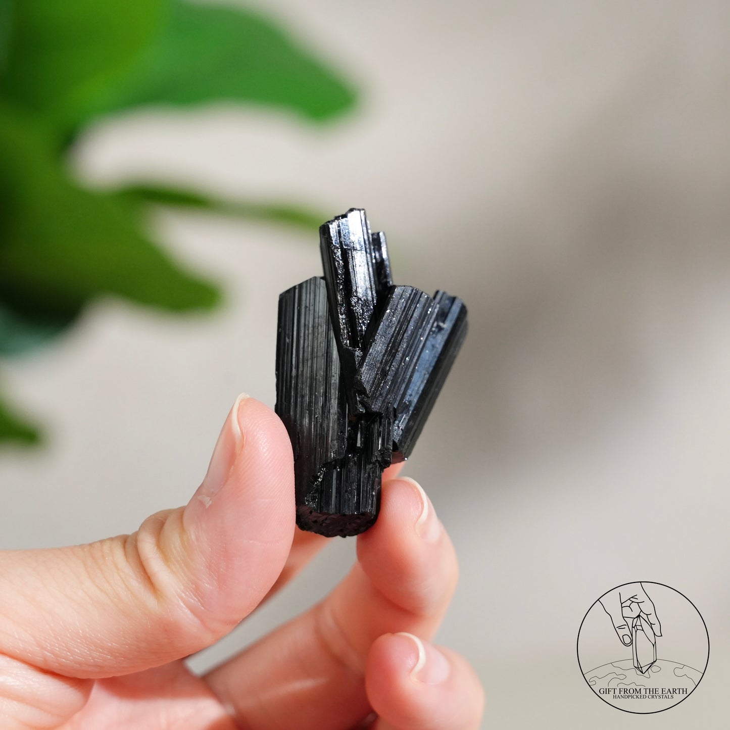 莫桑比克亮面黑碧璽原石