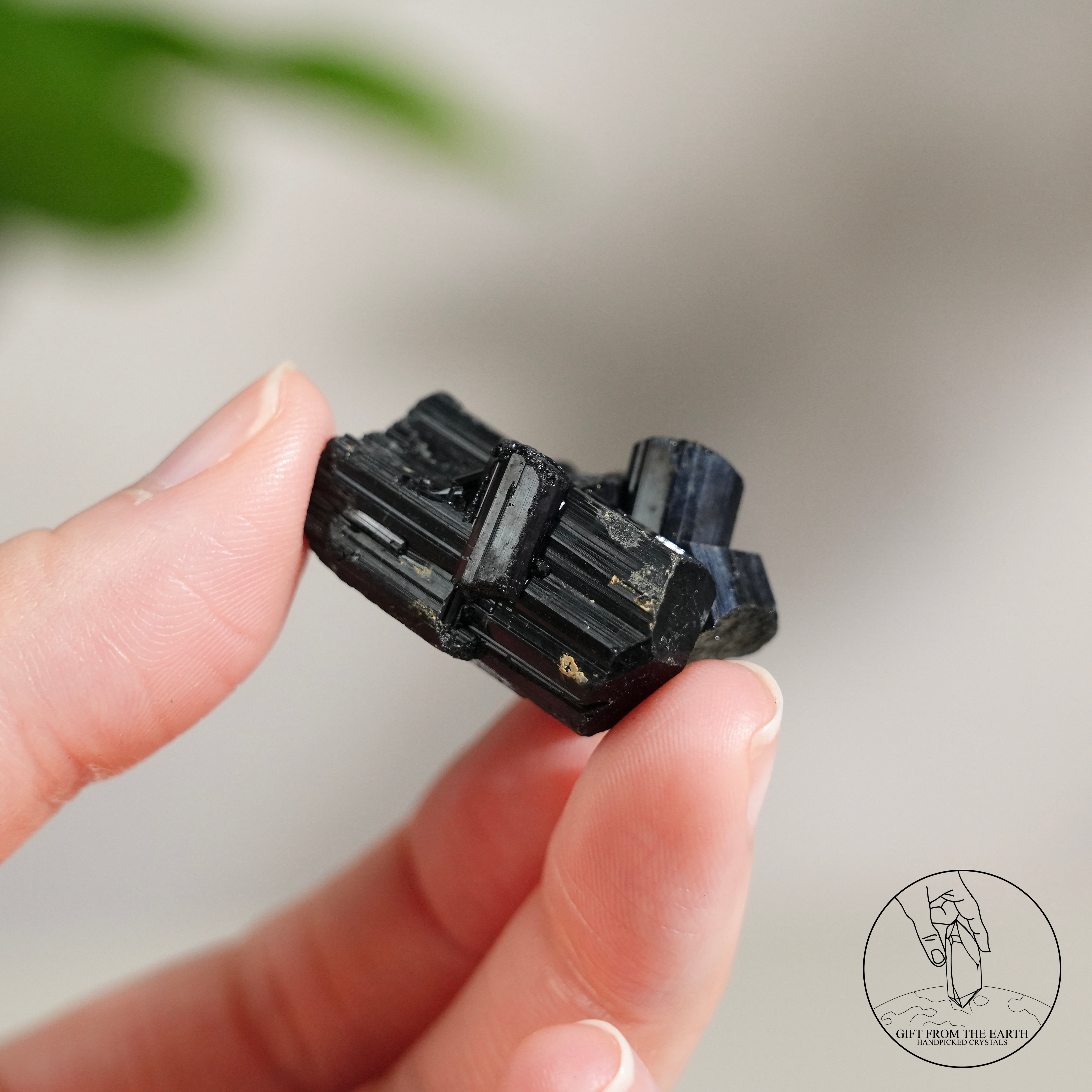 黑碧璽 – GFE Handpicked Crystals