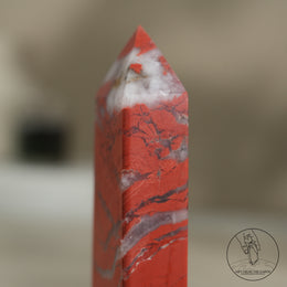紅碧玉柱白水晶共生