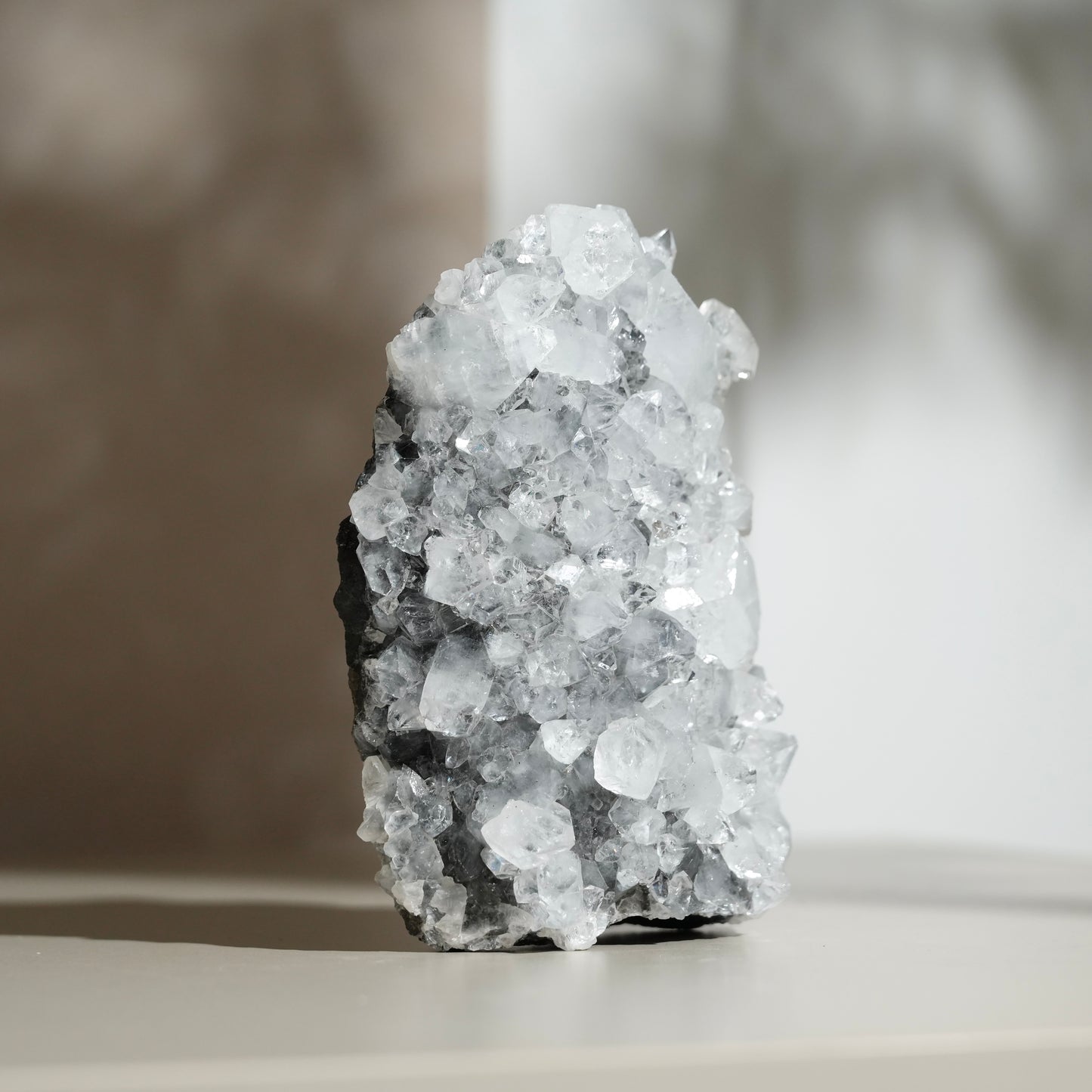 黑底鑽石魚眼石