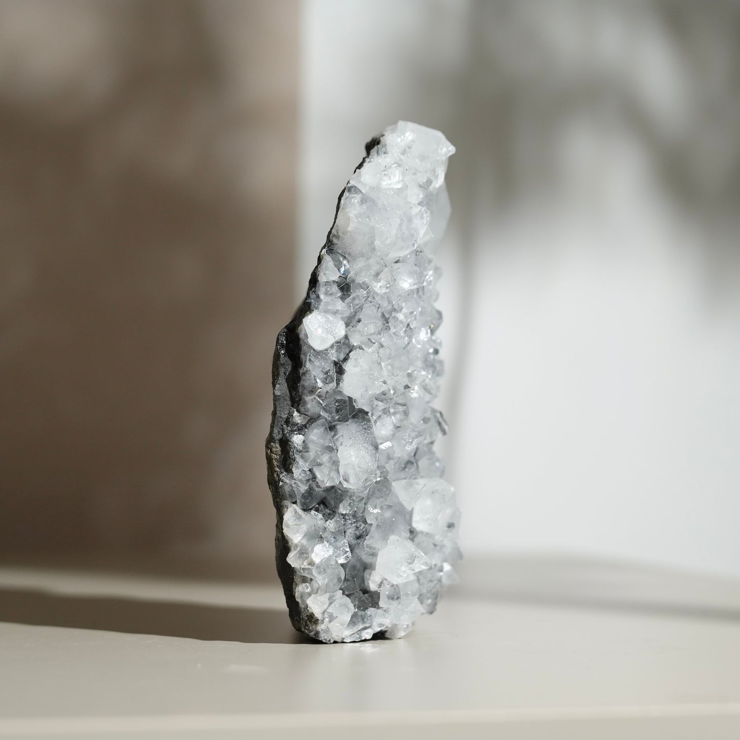 黑底鑽石魚眼石