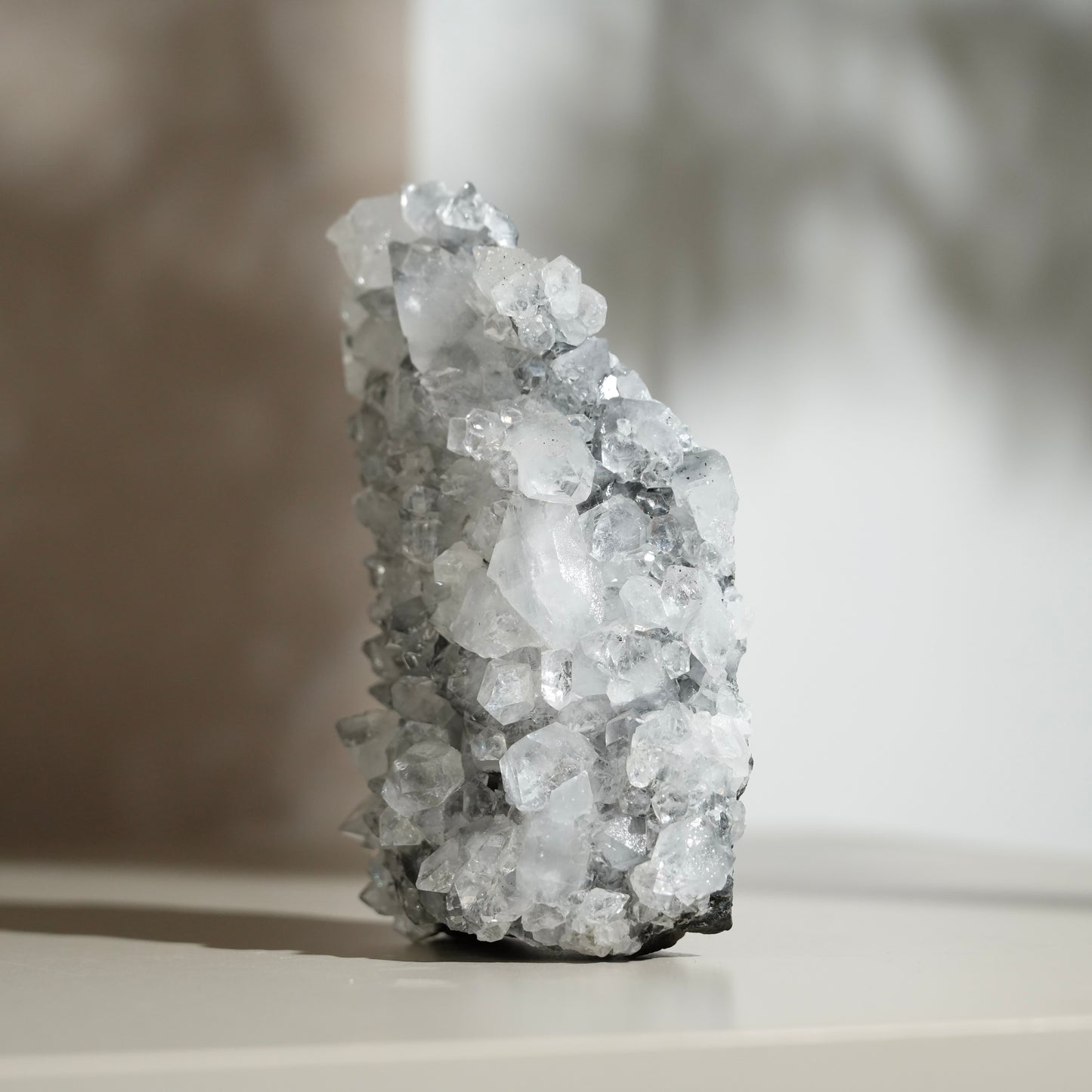 黑底鑽石魚眼石