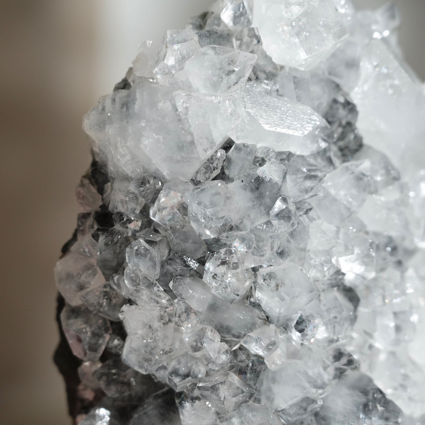 黑底鑽石魚眼石