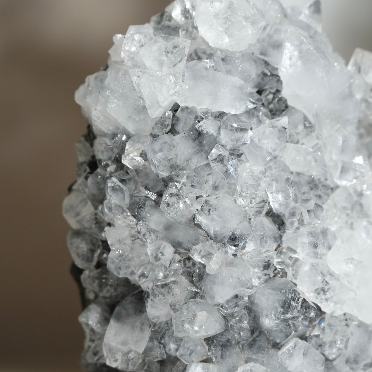 黑底鑽石魚眼石