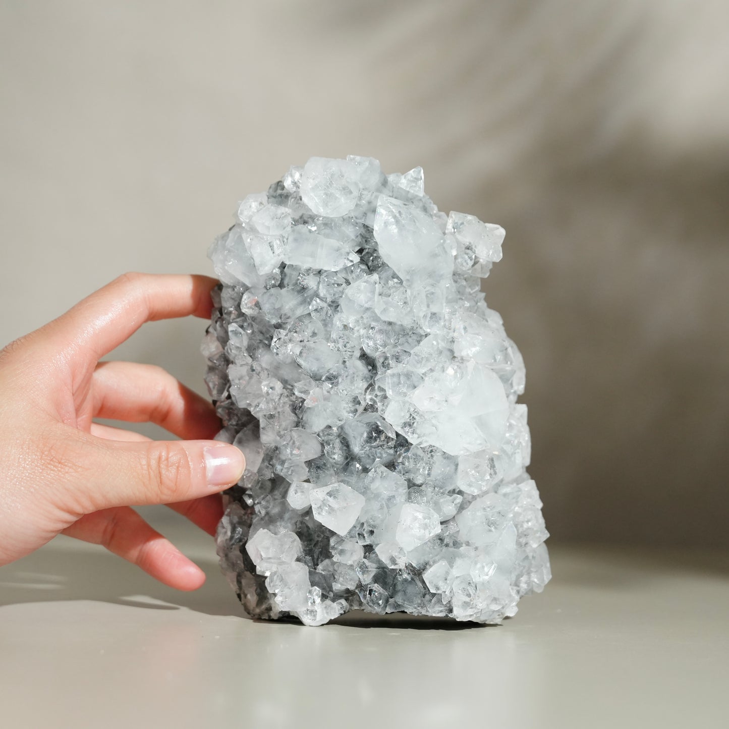 黑底鑽石魚眼石