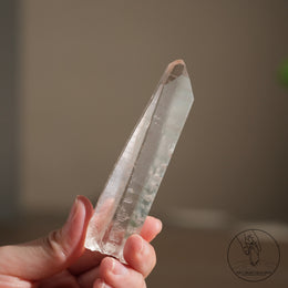 Lemurian Quartz