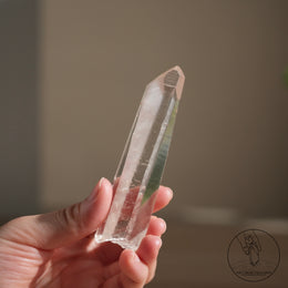 Lemurian Quartz