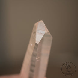 Lemurian Quartz
