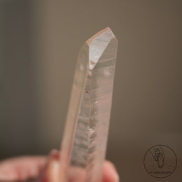 Lemurian Quartz