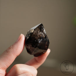 南非黑骸骨水晶