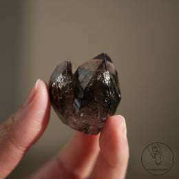 南非雙生黑骸骨水晶
