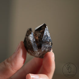 南非雙生黑骸骨水晶