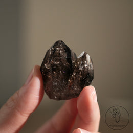 南非雙生黑骸骨水晶