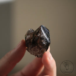 南非雙生黑骸骨水晶