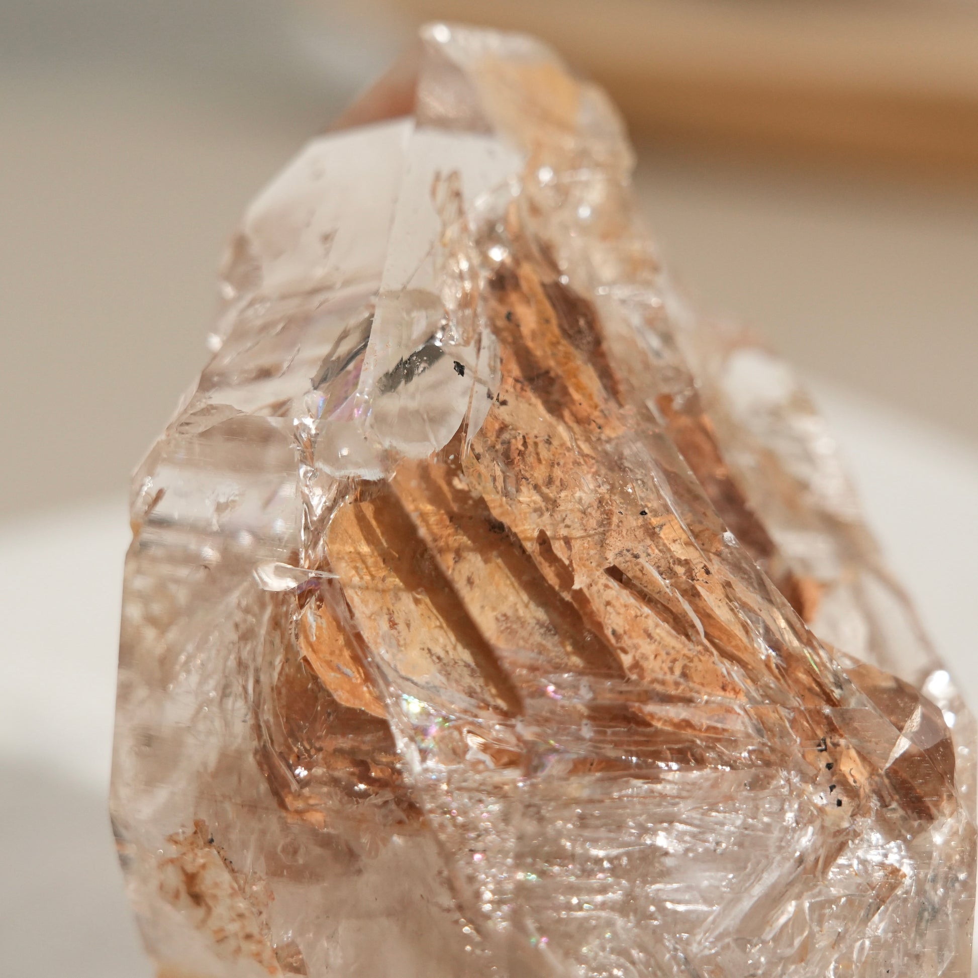 黃泥骸骨水晶