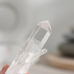 哥倫比亞杜氏白水晶