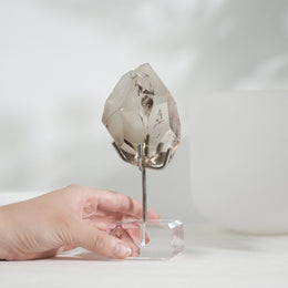 茶晶隨形