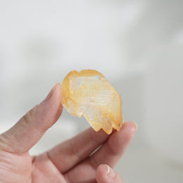 黃金療癒者縫合水晶