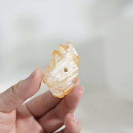黃金療癒者縫合水晶